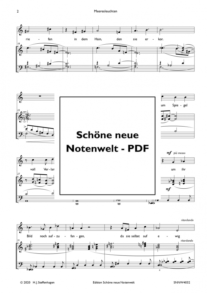 Bild 1 von H. J. Steffenhagen - Meeresleuchten (Friedrich Hebbel) - Gesang & Klavier pdf