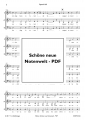 Bild 3 von Spancil Hill  (Chor-SAB) - pdf