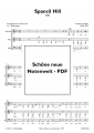 Bild 2 von Spancil Hill  (Chor-SAB) - pdf
