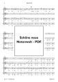 Bild 2 von Spancil Hill  (Chor-SATB) - pdf