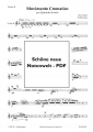 Bild 8 von H. J. Steffenhagen - Movimento Cromatico per Quartetto d'archi - pdf