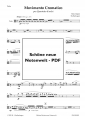 Bild 9 von H. J. Steffenhagen - Movimento Cromatico per Quartetto d'archi - pdf