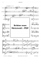 Bild 3 von H. J. Steffenhagen - Diptychon für Streichquartett - pdf